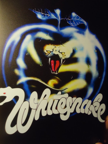 Whitesnake 18 cm flach - 18,