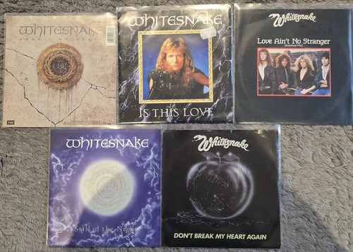 Whitesnake single sammlung - whitesnake,