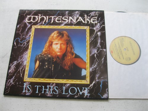 12er maxi whitesnake is - maxi,