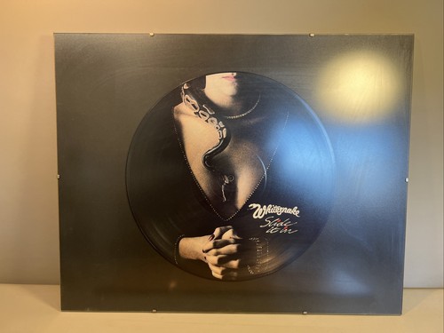 Whitesnake slide lp - slide,